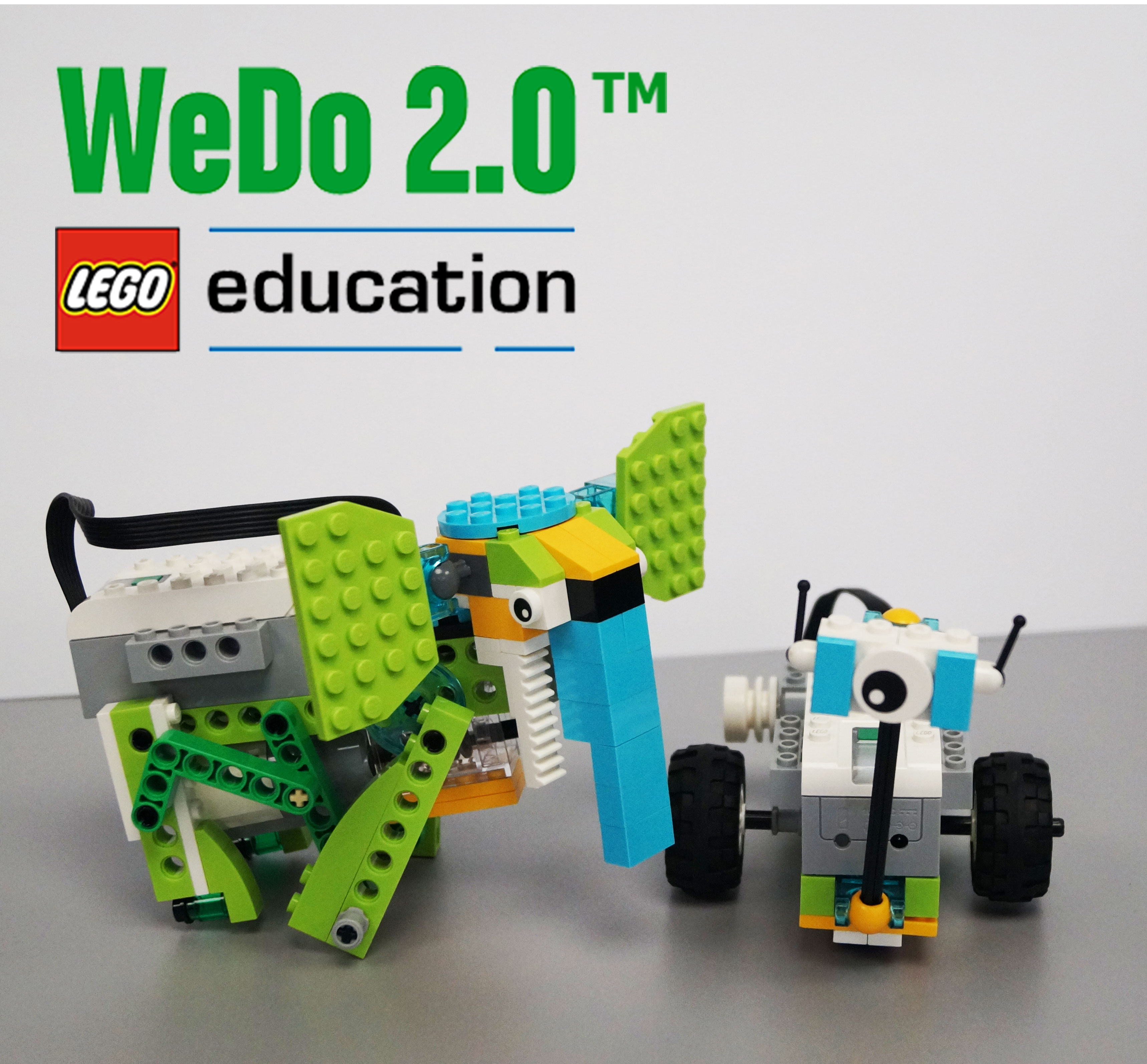 WeDo 2020