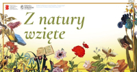 Odzyskiwanie miasta. Warsztaty z Danielem Chmielewskim.